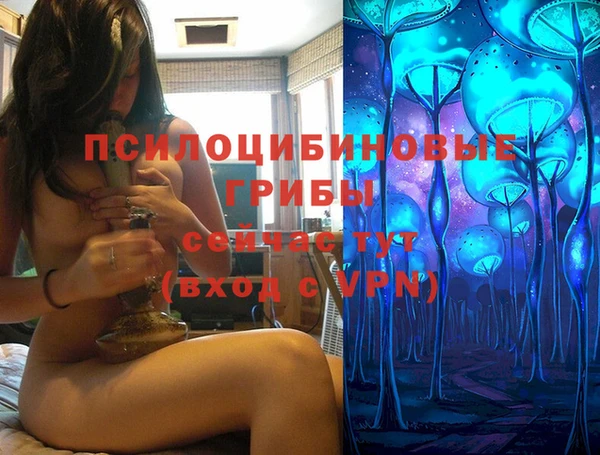 винт Армянск