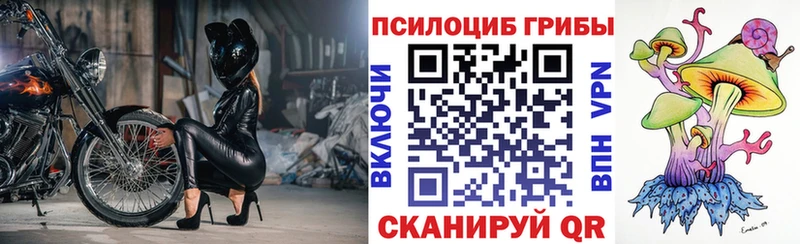 darknet состав  Сердобск  Галлюциногенные грибы Psilocybe 