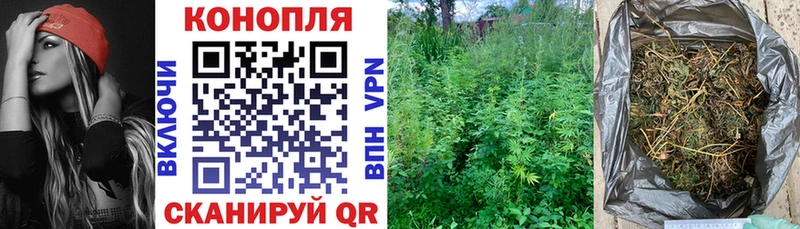 Бошки Шишки планчик Сердобск